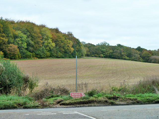 File:Field by Sidley Wood (geograph 4219385).jpg