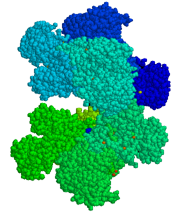 File:G6PD - 3D structure - PDB1qki.png