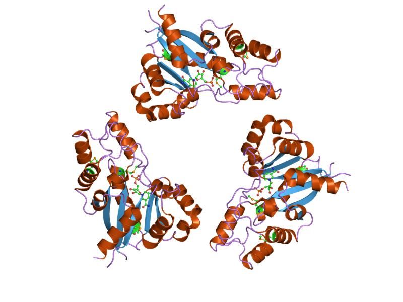 File:PDB 1gzu EBI.jpg