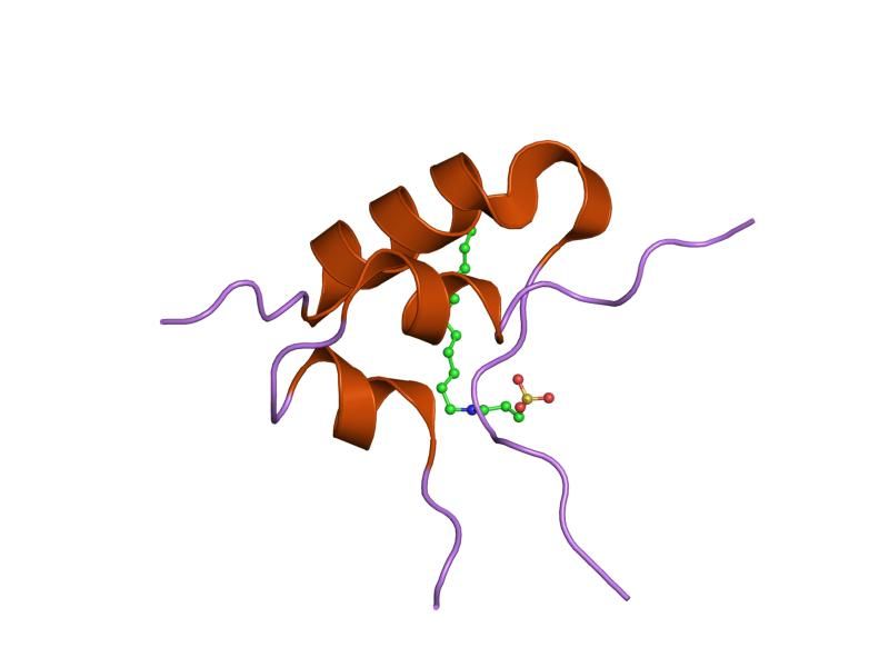 File:PDB 1gzz EBI.jpg