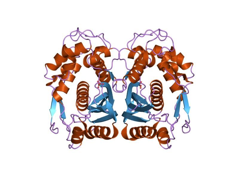 File:PDB 1hzw EBI.jpg