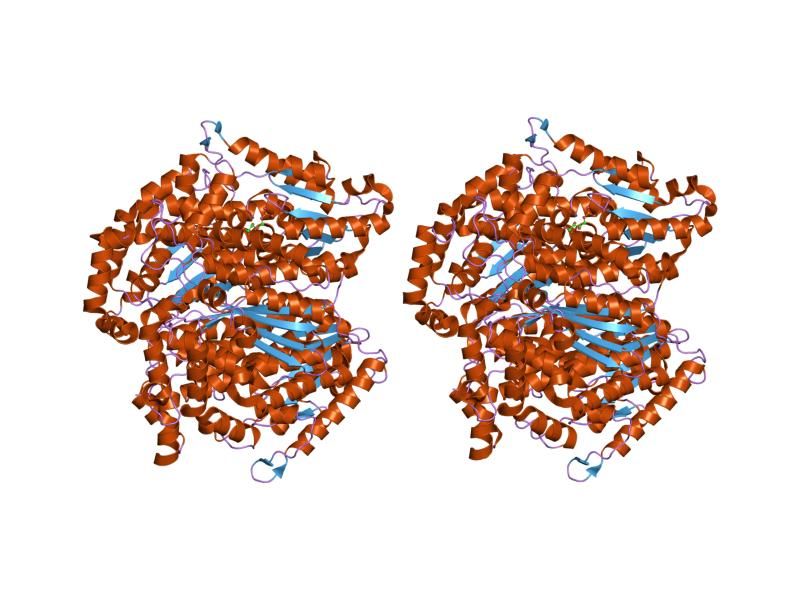 File:PDB 1iri EBI.jpg