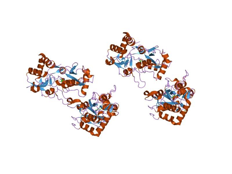 File:PDB 1mqd EBI.jpg