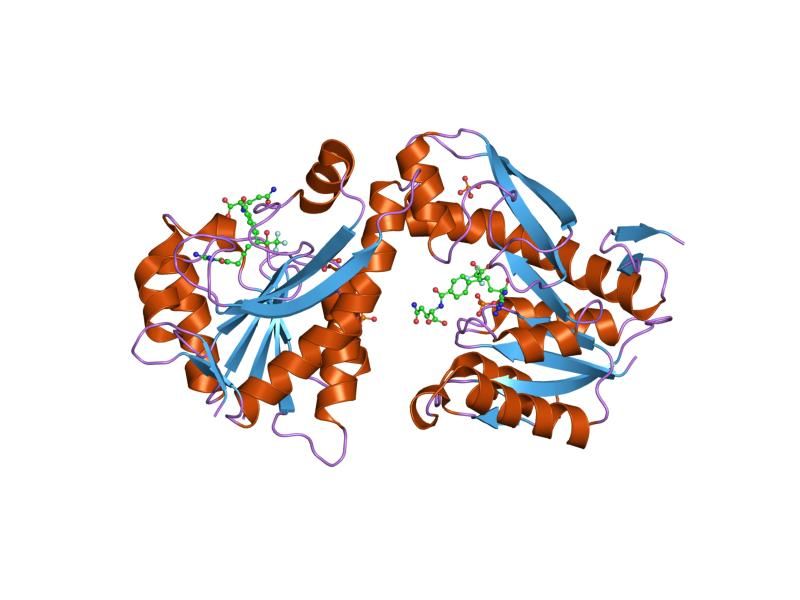 File:PDB 1rbm EBI.jpg