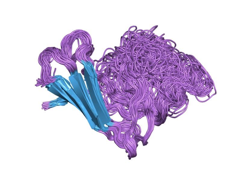 File:PDB 1rk7 EBI.jpg