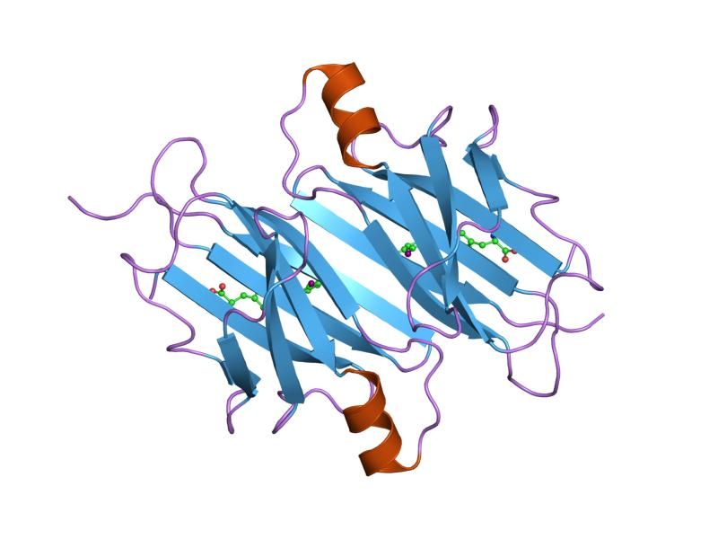 File:PDB 1tha EBI.jpg