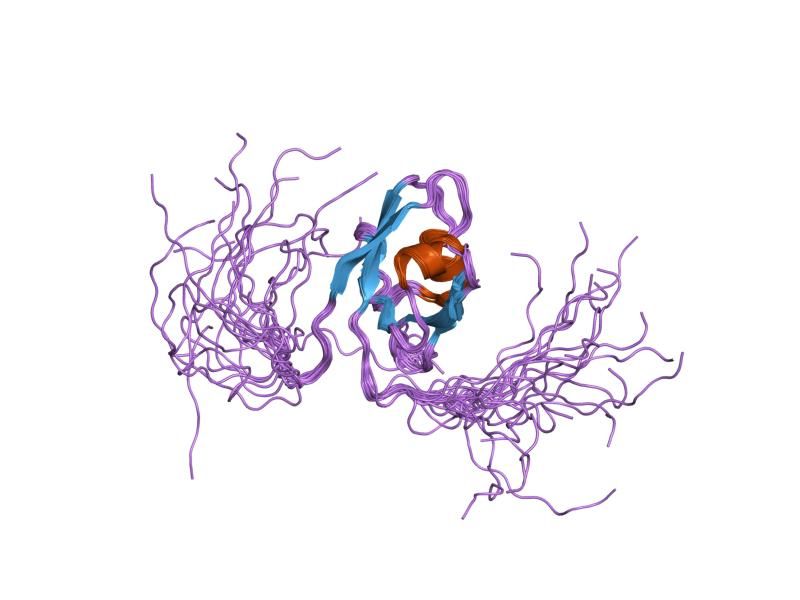 File:PDB 1uit EBI.jpg