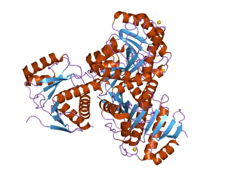 File:PDB 1yd9 EBI.jpg