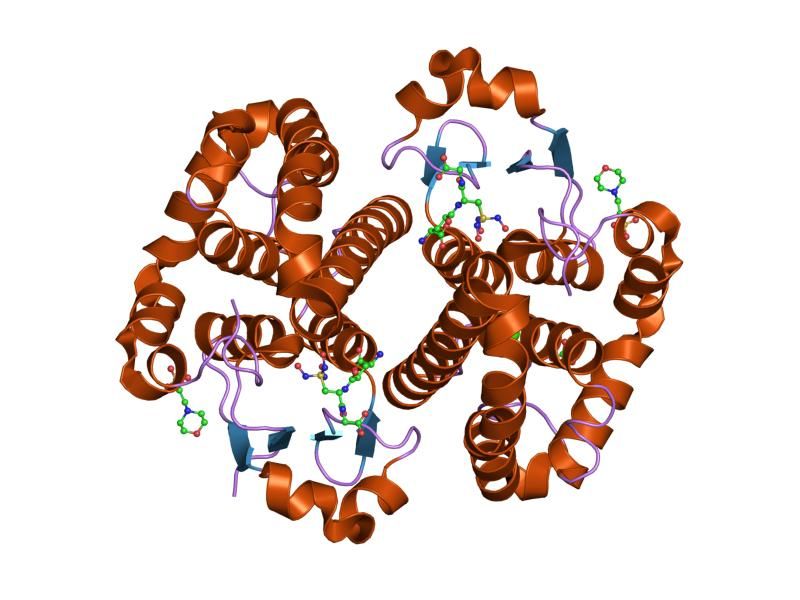 File:PDB 2a2r EBI.jpg