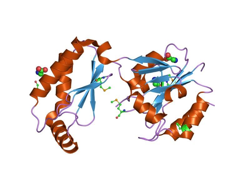 File:PDB 2amy EBI.jpg