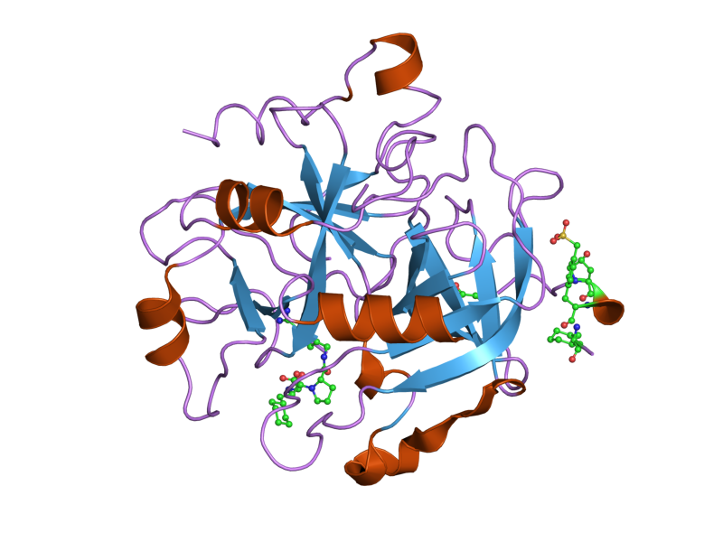 File:PDB 2fes EBI.png