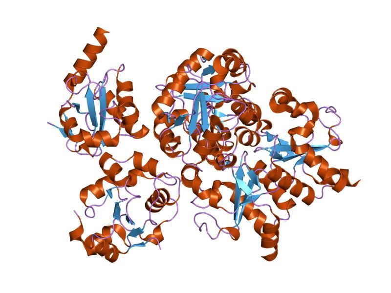 File:PDB 2gwf EBI.jpg