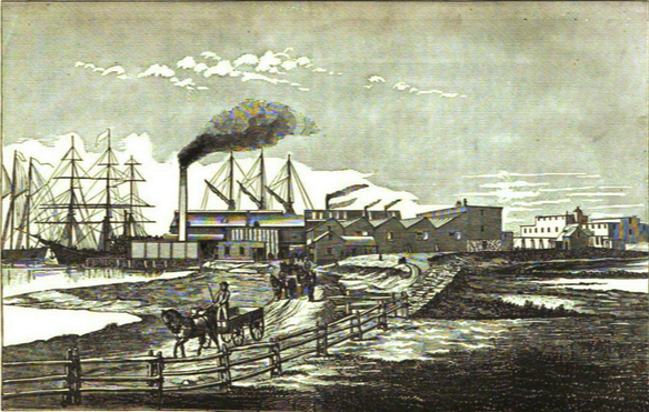 File:Pacific Guano Company (Report, 1879).png