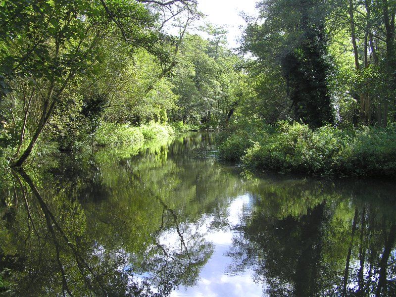 File:River Wey Moor Park.jpg