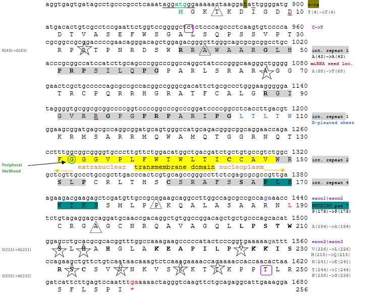 File:SNPs in FAM120AOS Isoform 1.png