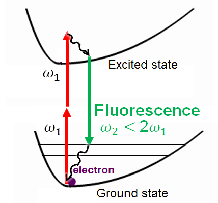 File:Two photons excited fluorescence energy levels.png