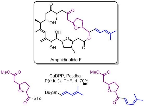 File:Amphidinolide.jpg