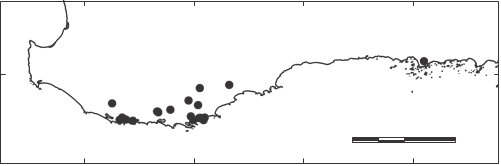 File:Distribution of P. occidentale in Western Australia.png