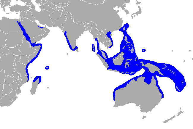 File:Dugong-range.png