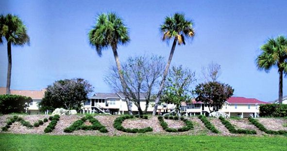 File:Macdill-hedge.jpg