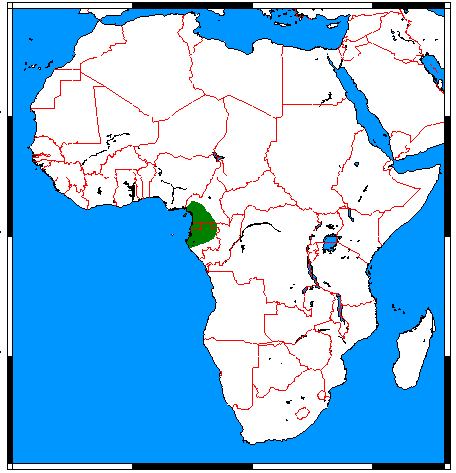 File:Myosciurus pumilio range map.png