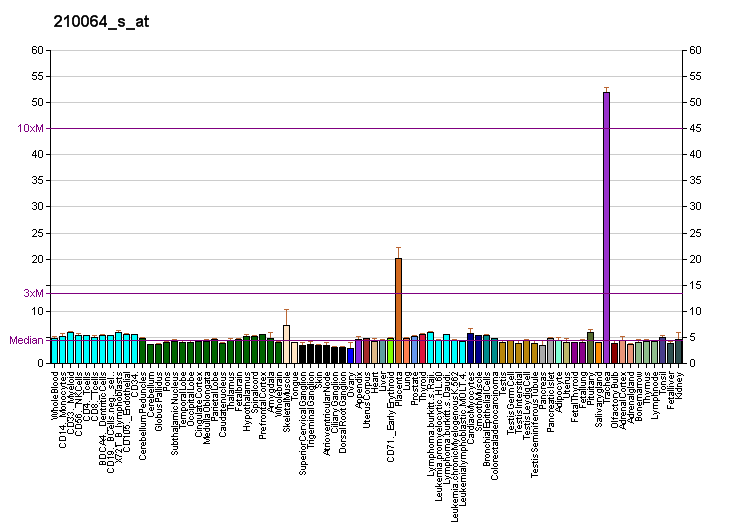 File:PBB GE UPK1B 210064 s at fs.png