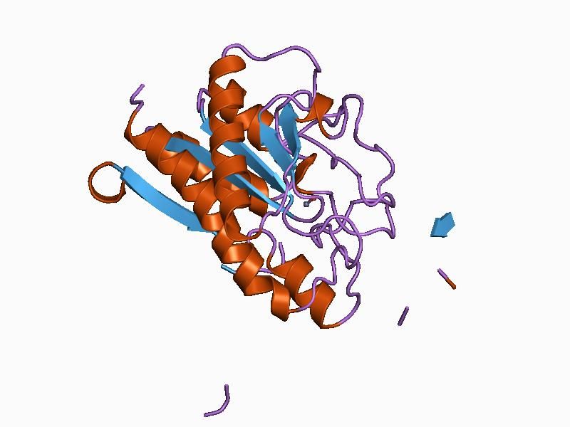 File:PDB 1aye EBI.jpg