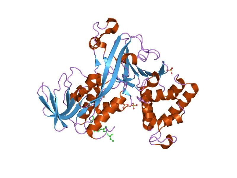 File:PDB 1lv0 EBI.jpg