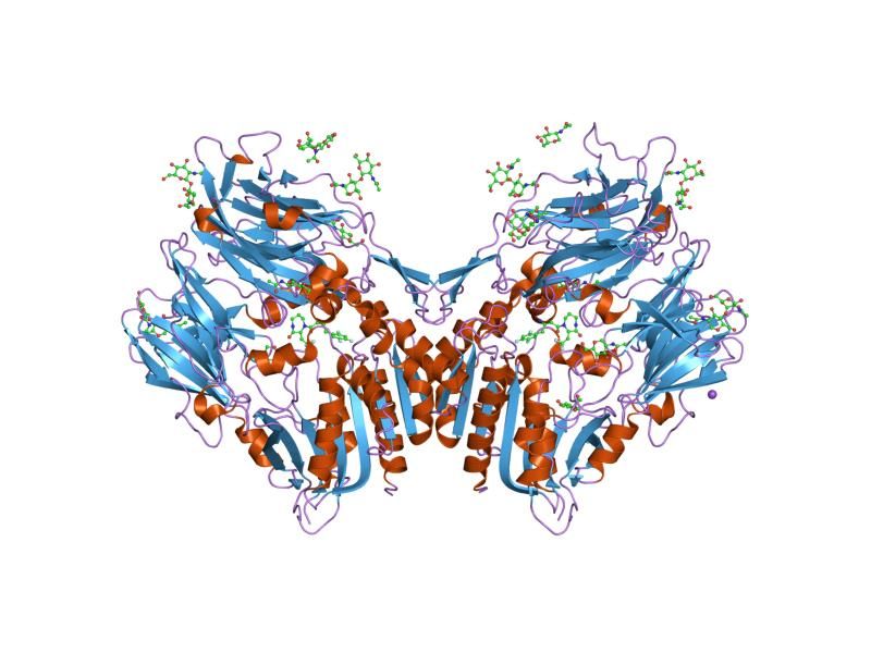 File:PDB 2iit EBI.jpg