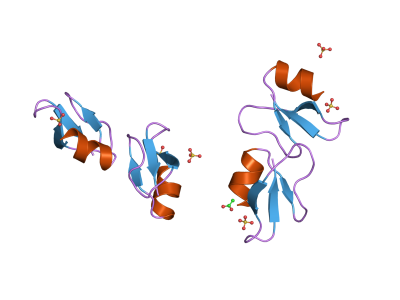 File:PDB 2nlc EBI.png