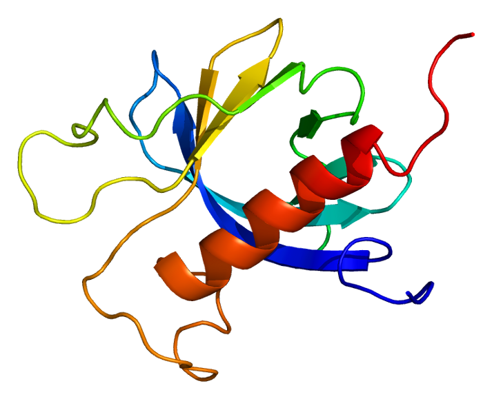 File:Protein PRKD3 PDB 2d9z.png