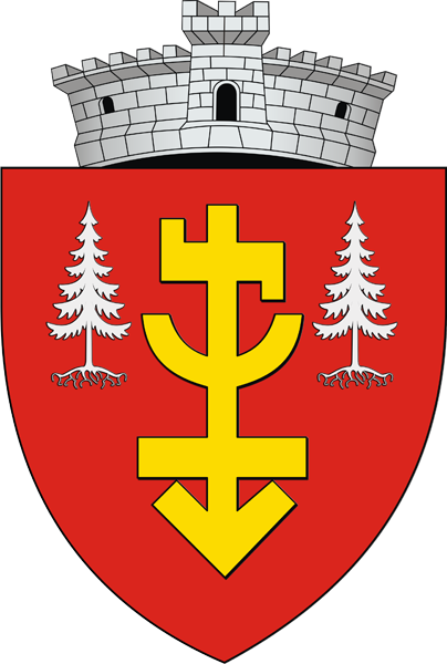 File:ROU SV Horodniceni CoA.png