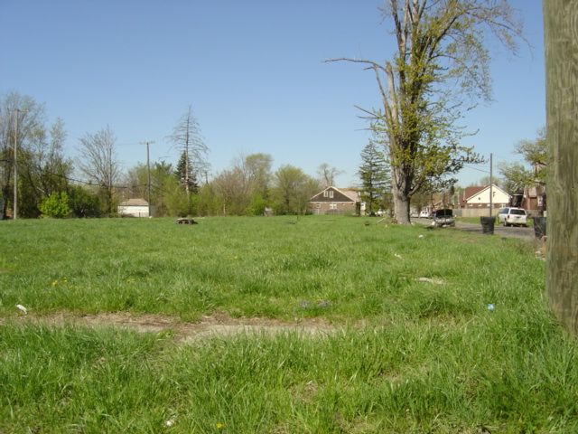 File:Urban prairie Detroit 1.jpg