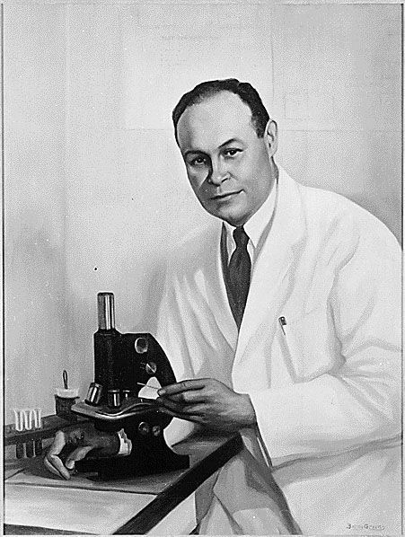 File:Charles R Drew portrait.jpg