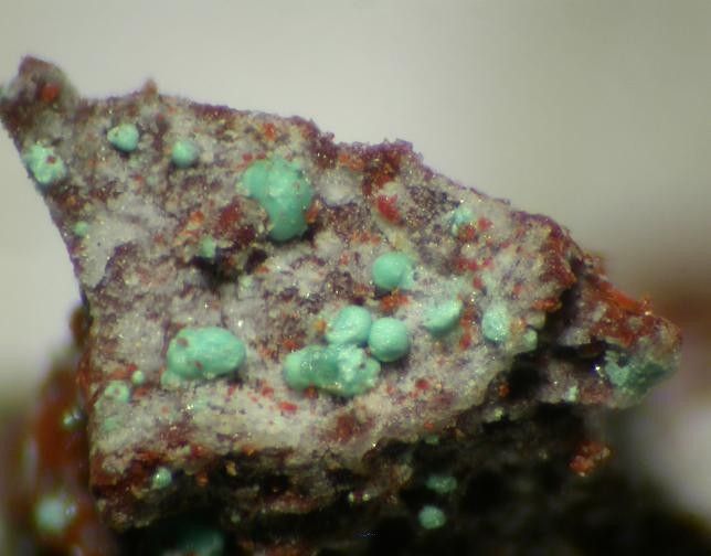 File:Eriochalcite-88986.jpg