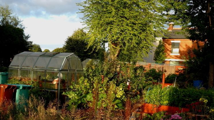 File:Moss Side Community Allotment.jpg