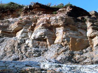 File:Narrabeen Headland sedimentary rocks.JPG