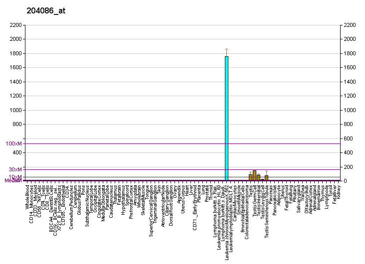 File:PBB GE PRAME 204086 at fs.png