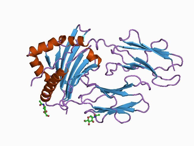 File:PDB 1a6a EBI.jpg