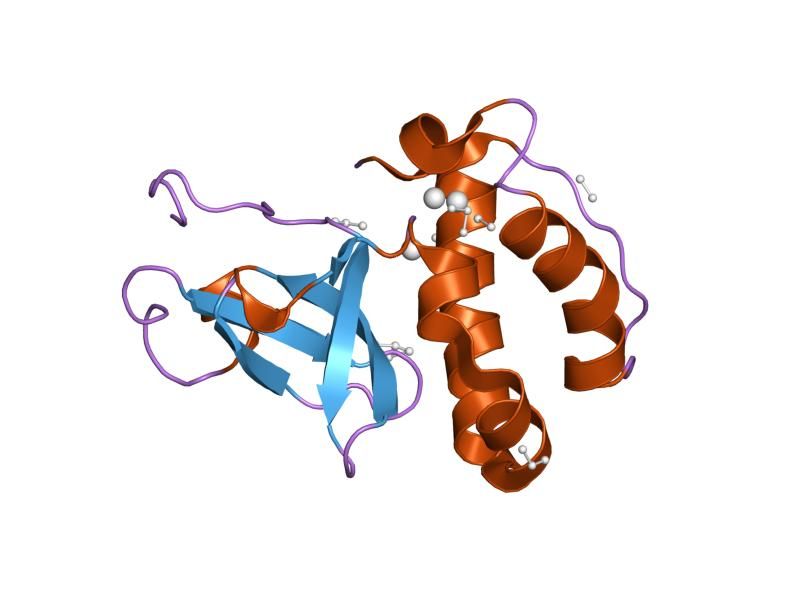 File:PDB 1khc EBI.jpg