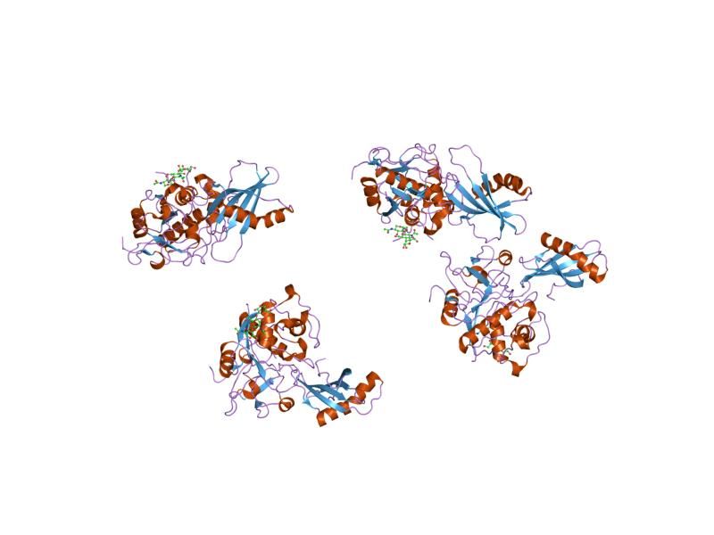 File:PDB 1nb3 EBI.jpg