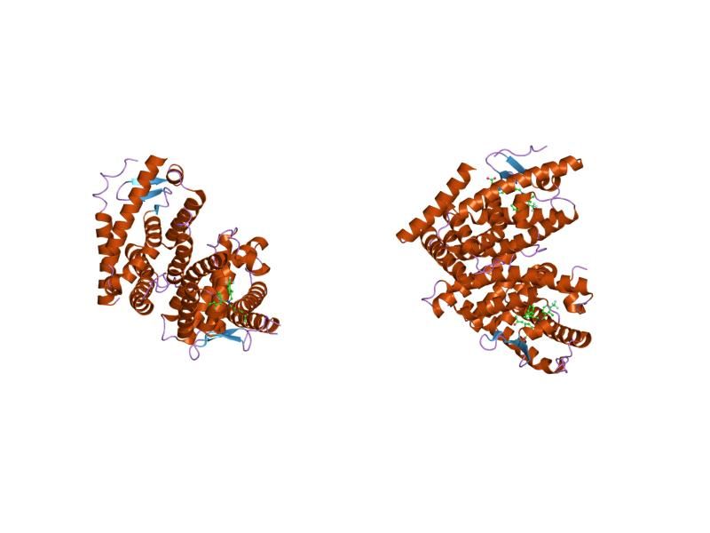 File:PDB 1pq6 EBI.jpg