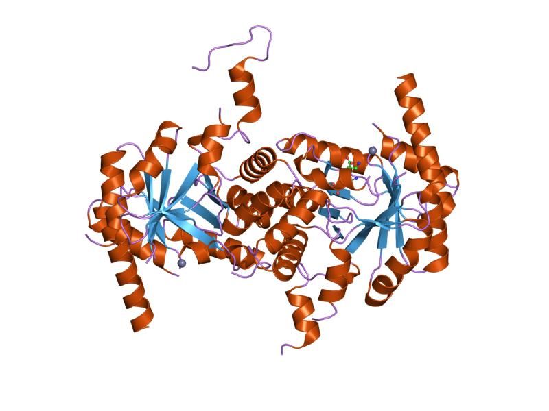 File:PDB 1pv8 EBI.jpg