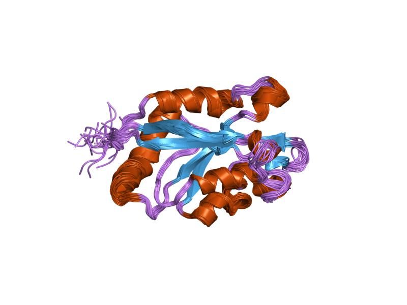 File:PDB 1q8g EBI.jpg