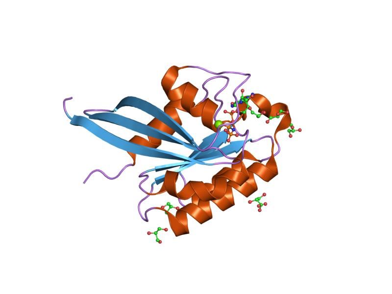 File:PDB 1r2q EBI.jpg