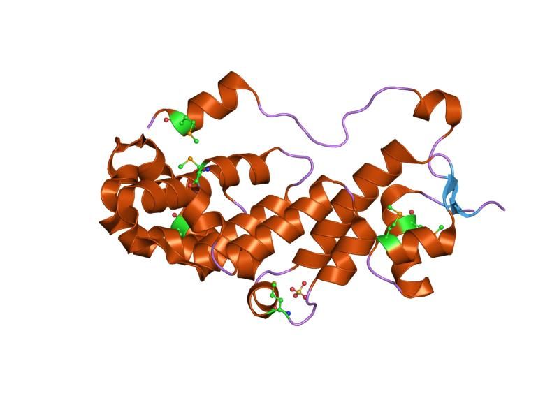 File:PDB 1rz4 EBI.jpg