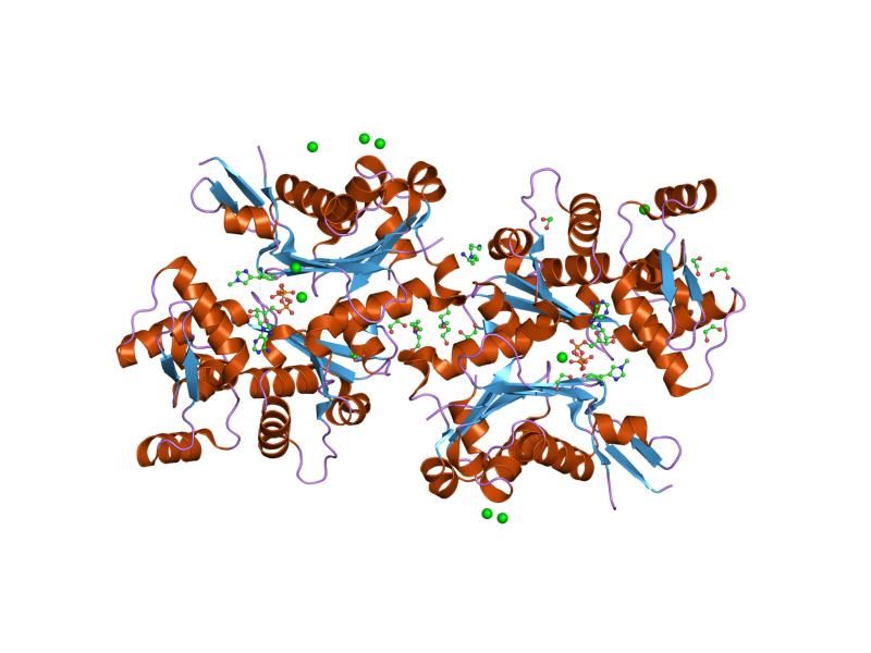 File:PDB 2hmp EBI.jpg