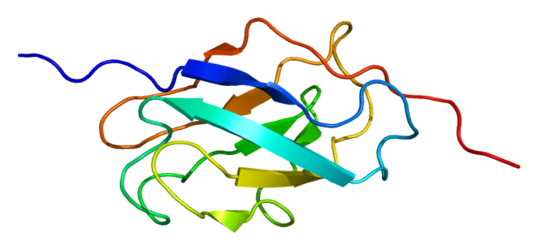 File:Protein EXOC2 PDB 1hk6.png