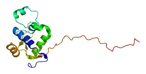 File:Protein WRN PDB 2axl.png