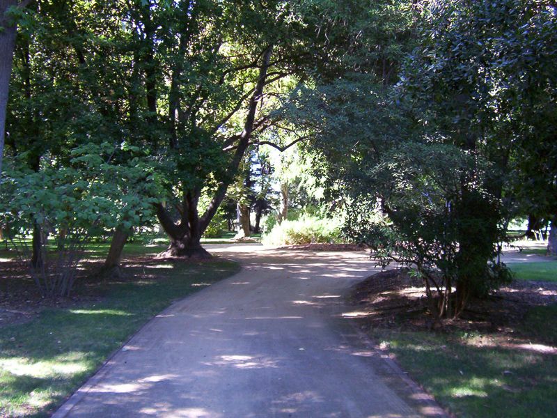 File:Sac State Goethe Arboretum.jpg